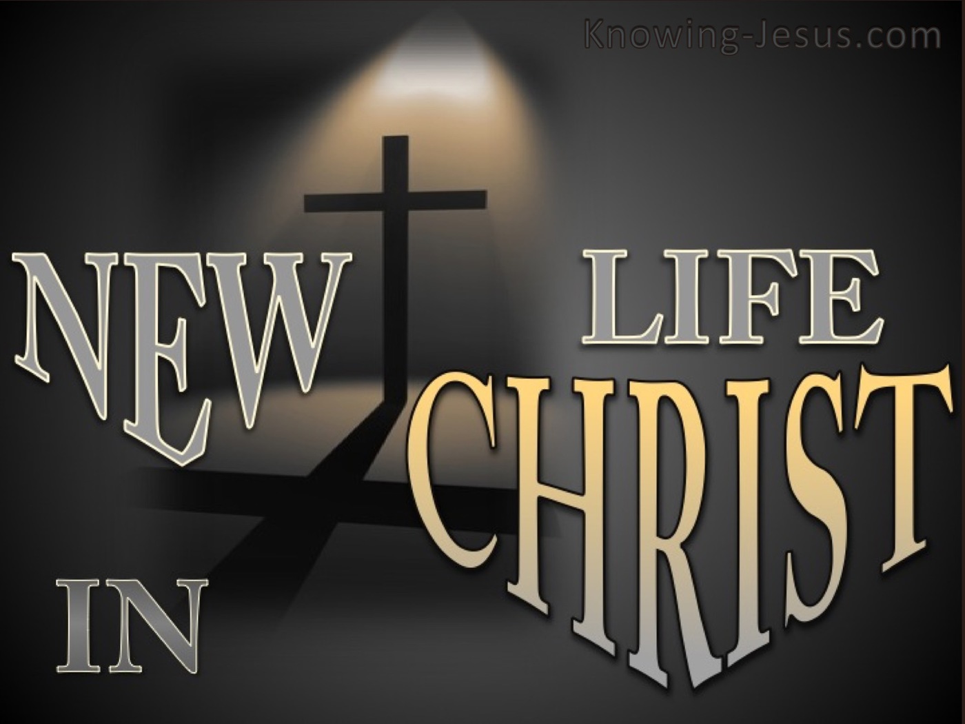 2 Corinthians 5:17 New Life In Christ (devotional)09-25 (gray)